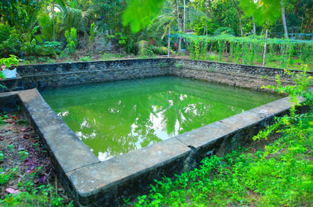Facilities